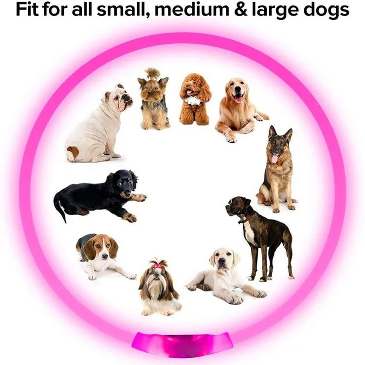 USB Rechargeable LED Luminous Dog Collar – Safety Glowing Night Collar with 3 Light Modes