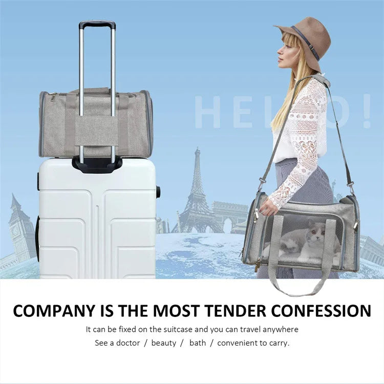 Airline Approved Soft-Sided Pet Carrier Backpack for Small Dogs and Cats
