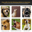 Automatic Anti-Bark Dog Training Collar – USB Rechargeable with Sound & Shock Modes