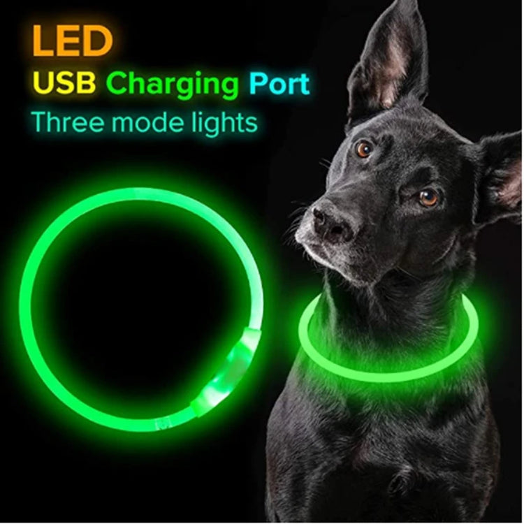 LED Luminous Dog Collar USB Charging Flashing Glowing Safety Anti-Lost Collar for Cats and Dogs          Ask ChatGPT