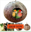 Pet Parakeet Budgie Hanging Play Toys | Bird Cage Wood Branch Stand Perches | Parrot Wooden Holder Perches