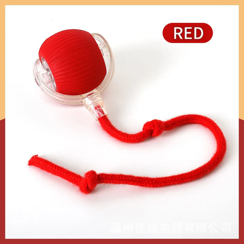 Smart Electronic Dog Toy Ball | USB Automatic Moving & Bouncing Pet Toy | Interactive Puppy Gift | Cat/Dog Products