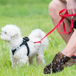 Biodegradable Dog Poop Bags – 15 Bags Per Roll, Eco-Friendly Pet Waste Disposal Bags for Dogs and Cats