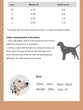 Striped Nylon Rope Dog Collar Slip-On Quick Release Personalized Collar for Small to Large Dogs