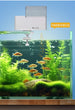 Intelligent 4-Speed Aquarium Fish Food Feeder – Adjustable Automatic Fish Tank Feeder