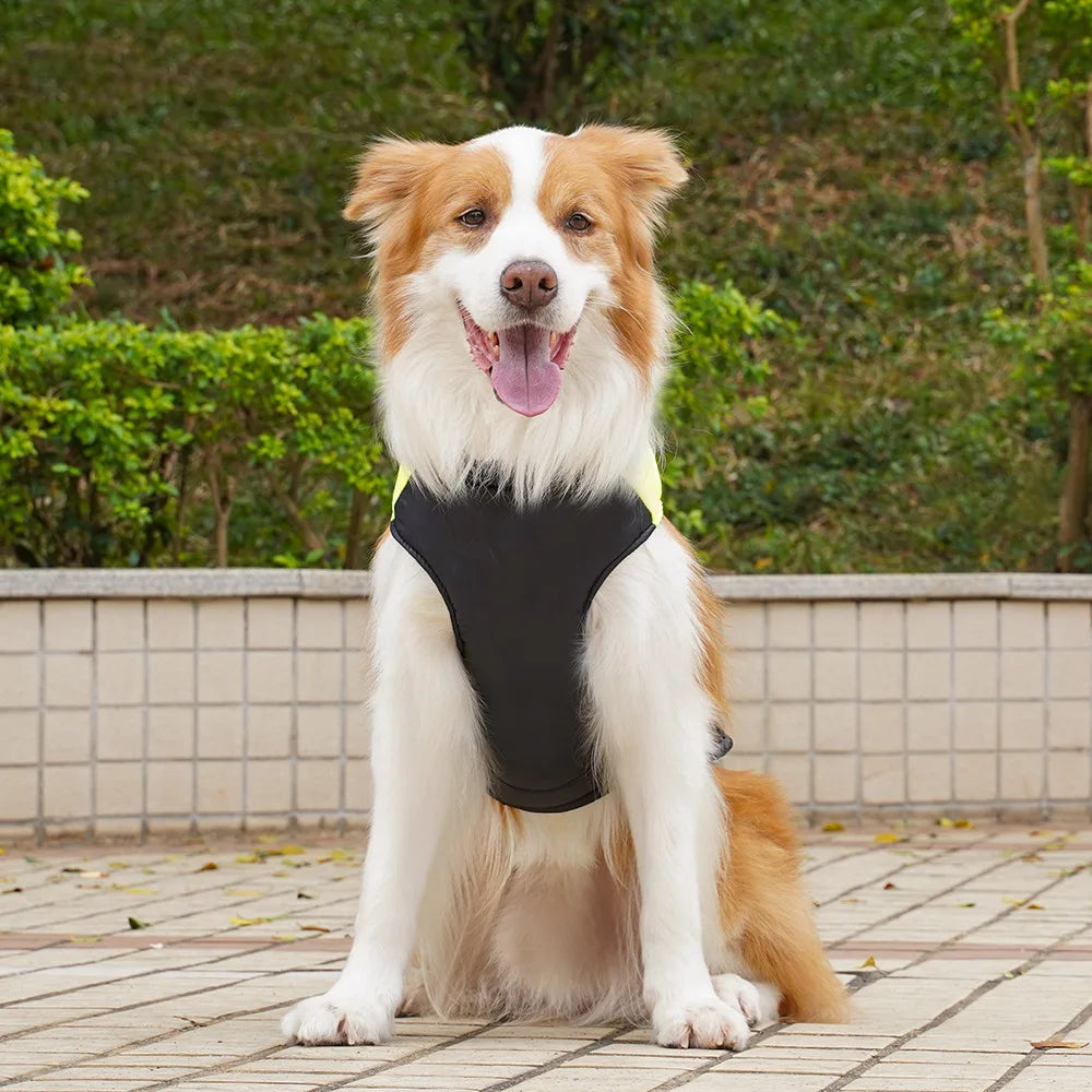 Pet Puppy Clothes Cat Clothing Autumn/Winter Warm Cotton Jacket Outdoor Waterproof Tank Top Small/Medium/Large Dog Costume
