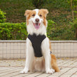 Pet Puppy Clothes Cat Clothing Autumn/Winter Warm Cotton Jacket Outdoor Waterproof Tank Top Small/Medium/Large Dog Costume