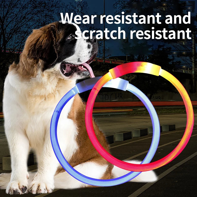 USB Rechargeable LED Dog Collar – Adjustable Luminous Safety Light Collar for Night Visibility