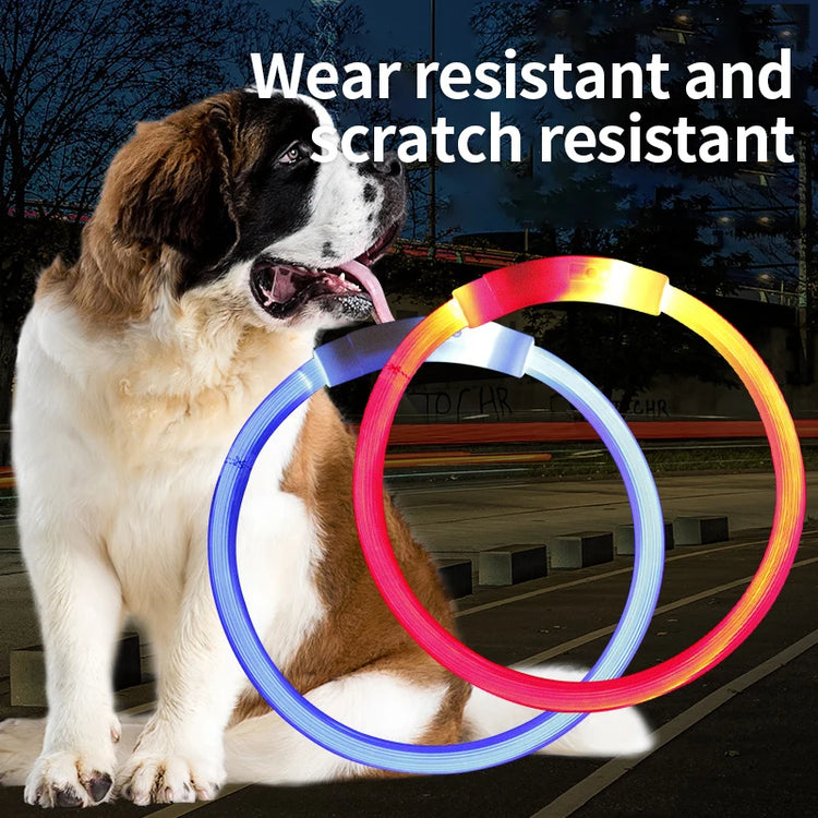 USB Rechargeable LED Dog Collar – Adjustable Luminous Safety Light Collar for Night Visibility