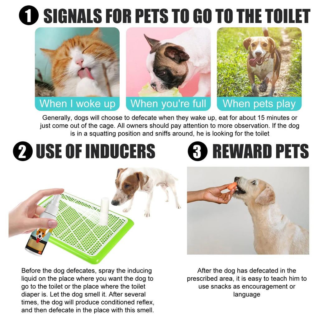 Dog & Cat Potty Training Spray – Pet Toilet Training Aid for Puppies, Kittens & Indoor/Outdoor Use