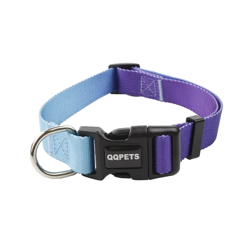Adjustable Dog Collar & Leash Set – Personalized Nylon Traction Lead for Small to Large Dogs