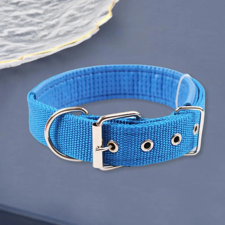 Adjustable Nylon Pet Collar with Traction Ring – Durable and Comfortable Dog Neck Strap