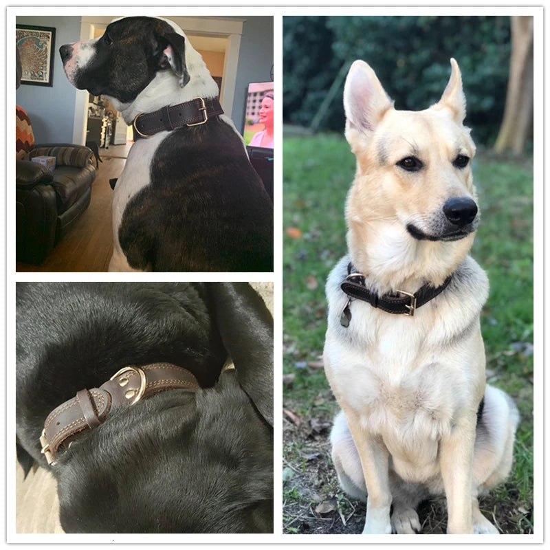 Leather Dog Collar with Quick Release – Durable Pet Collar for Small to Large Dogs