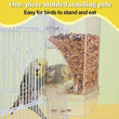 Automatic No-Spill Transparent Bird Feeder | Can Be Hung or Placed on Desktop | Ideal for Small & Medium Parakeets