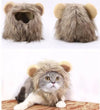 A HAT FOR CAT | Cute Costume Cap | Adjustable Warm Hat | Soft Cat Headwear | Small Pet Outfit | Funny Cat Hat | Pet Accessories