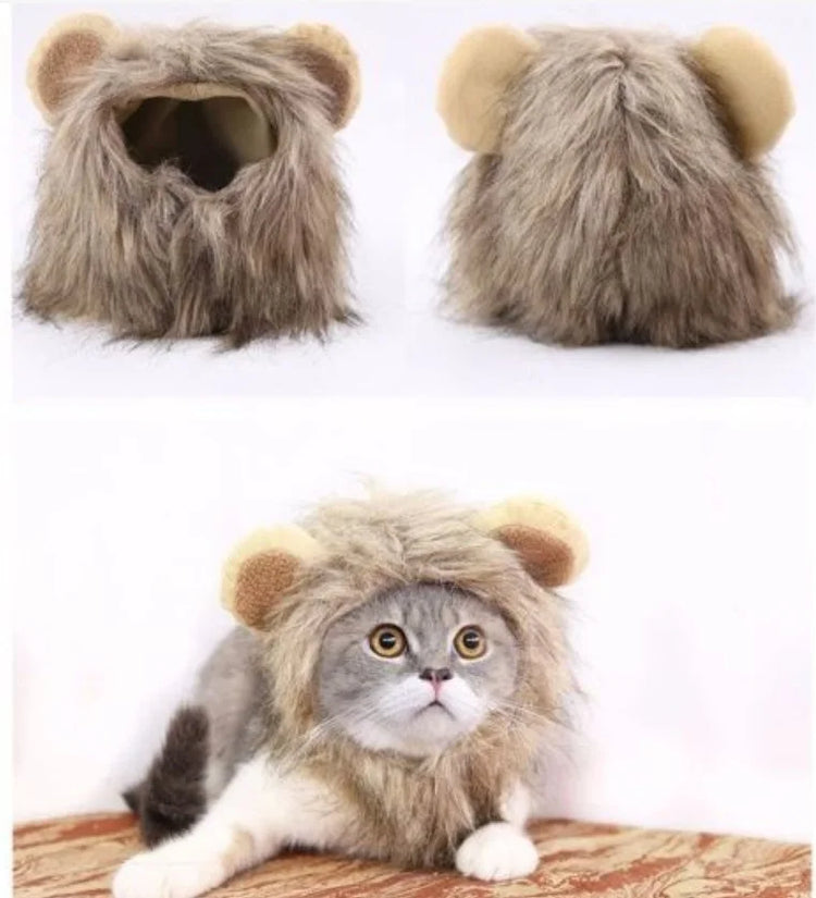 A HAT FOR CAT | Cute Costume Cap | Adjustable Warm Hat | Soft Cat Headwear | Small Pet Outfit | Funny Cat Hat | Pet Accessories