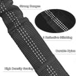 Shock Absorber Dog Leash – Heavy-Duty Elastic Bungee Training Lead for Medium Dogs