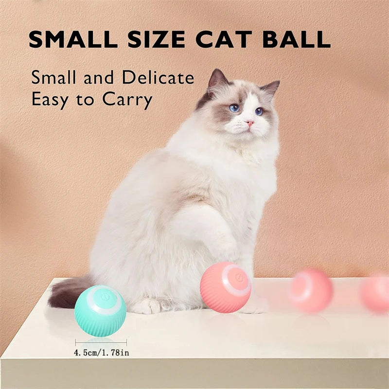 Smart Electronic Dog Toy Ball | USB Automatic Moving & Bouncing Pet Toy | Interactive Puppy Gift | Cat/Dog Products