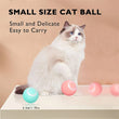 Smart Electronic Dog Toy Ball | USB Automatic Moving & Bouncing Pet Toy | Interactive Puppy Gift | Cat/Dog Products