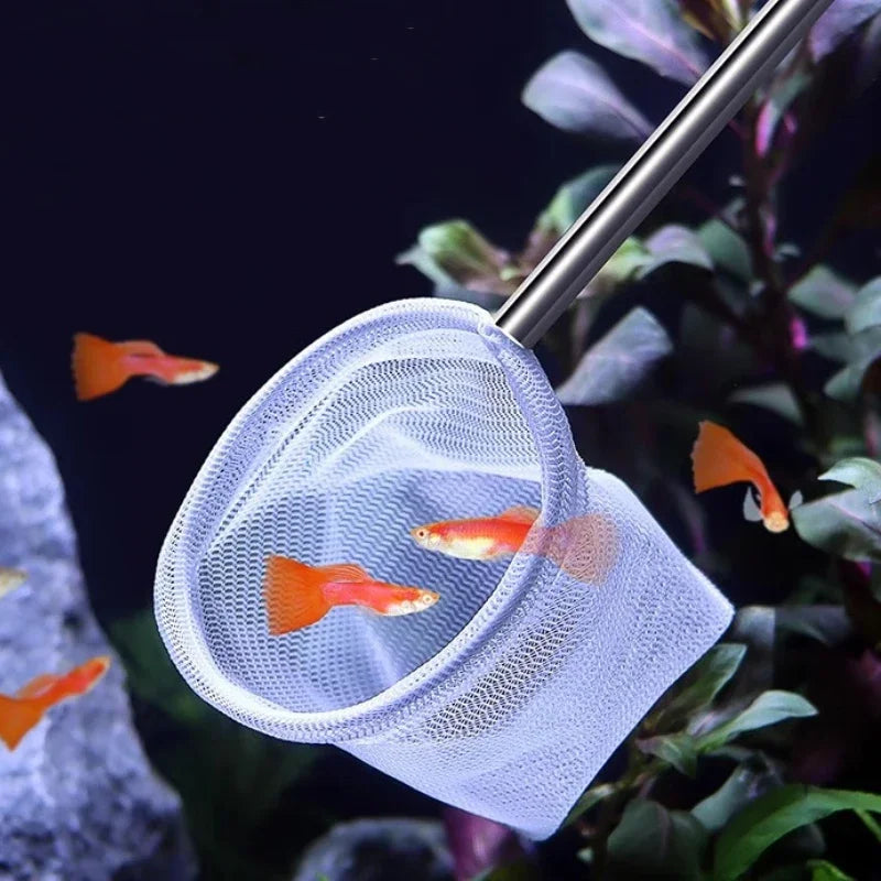 Stainless Steel Aquarium Net – Small Fish & Shrimp Catching Tool