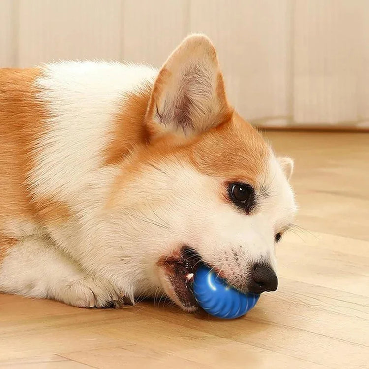 Smart Electronic Dog Toy Ball | USB Automatic Moving & Bouncing Pet Toy | Interactive Puppy Gift | Cat/Dog Products