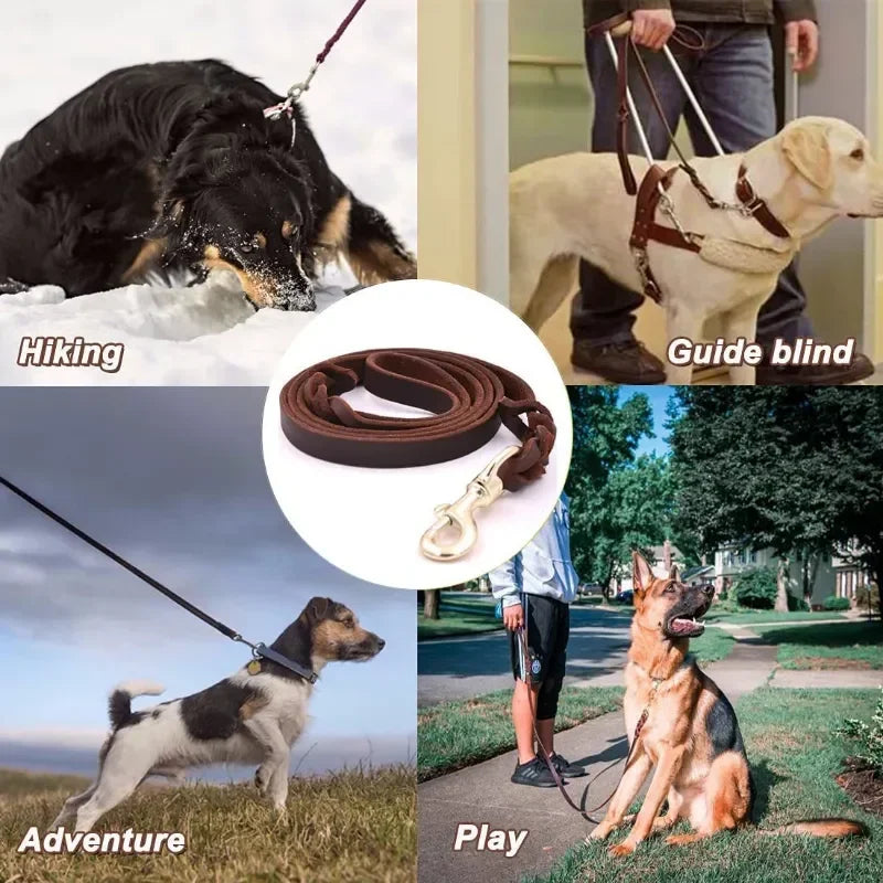 Braided Leather Dog Collar and Leash Set – Durable Genuine Cowhide for Medium & Large Dogs