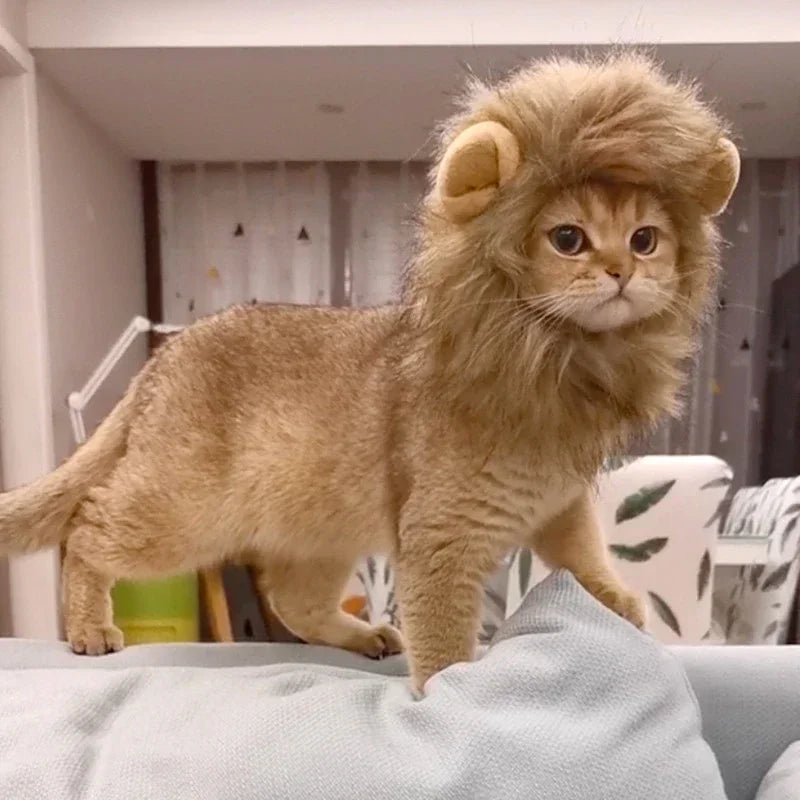Cute Lion Mane Wig Hat for Cats/Small Dogs | Funny Pet Costume For Halloween, Christmas & Parties