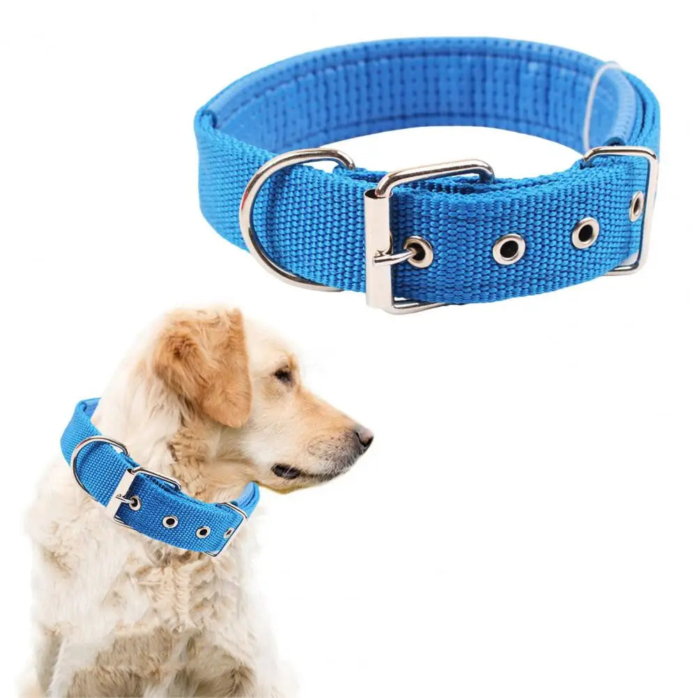 Adjustable Nylon Pet Collar with Traction Ring – Durable and Comfortable Dog Neck Strap