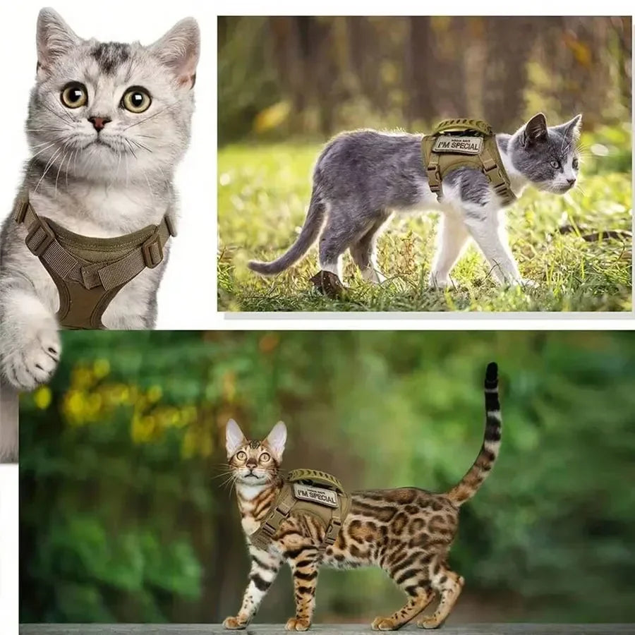 Outdoor Cat Vest | Waterproof Cat Clothes | Adjustable Cat Chest Strap | Special Walking Vest for Cats | Secure Outdoor Pet Harness