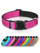 Reflective Soft Padded Dog Collar – Adjustable & Breathable Safety Collar for Small, Medium & Large Dogs