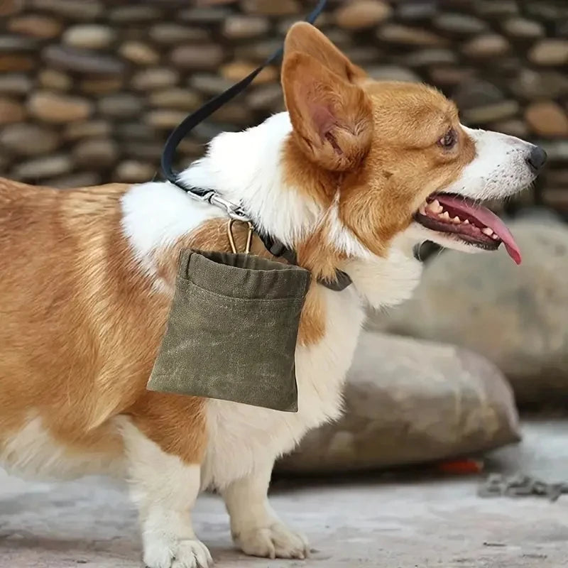 Canvas Dog Treat Bag – Portable Outdoor Training Snack Pouch with Automatic Closure