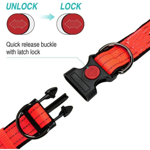 Reflective Padded Dog Collar – Durable Nylon with Double D Ring and Safety Buckle