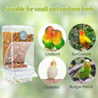 Automatic No-Spill Transparent Bird Feeder | Can Be Hung or Placed on Desktop | Ideal for Small & Medium Parakeets