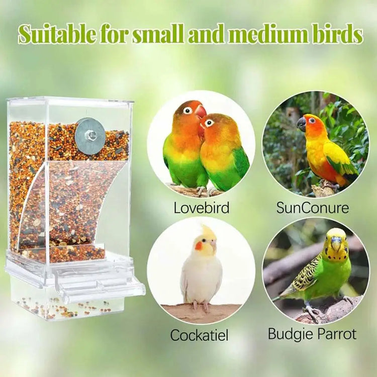 Automatic No-Spill Transparent Bird Feeder | Can Be Hung or Placed on Desktop | Ideal for Small & Medium Parakeets