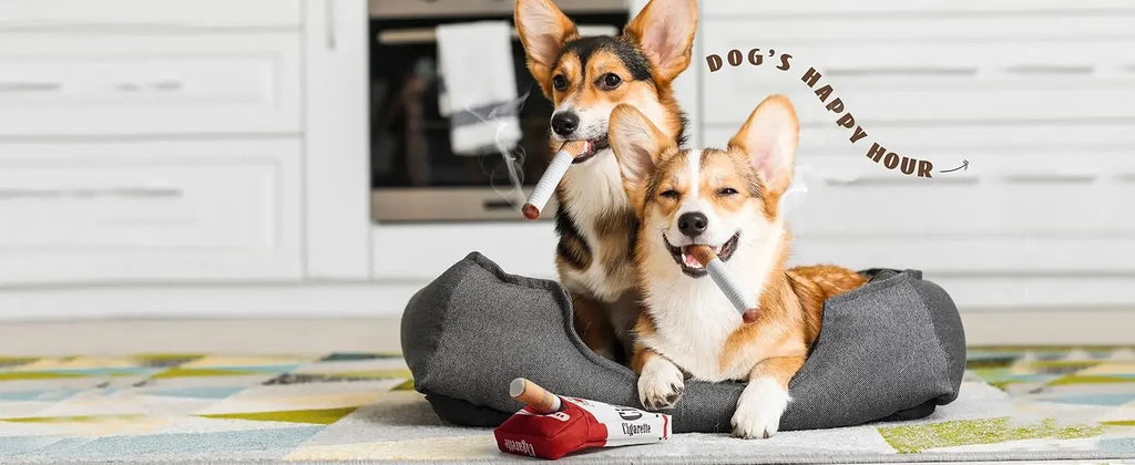 3-Pack Interactive Plush Cigarette Dog Toys with Box