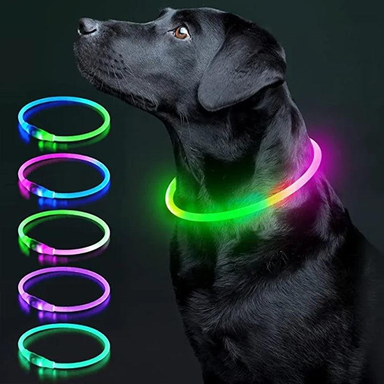 LED Luminous Dog Collar Light Rechargeable Flashing Safety Collar for Nighttime Walking