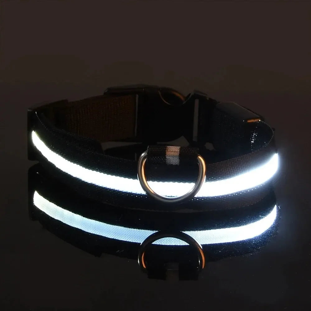 LED Light-Up Dog Collar – High Visibility Safety Collar for Night Walks (Battery Powered)