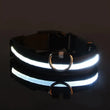 LED Light-Up Dog Collar – High Visibility Safety Collar for Night Walks (Battery Powered)