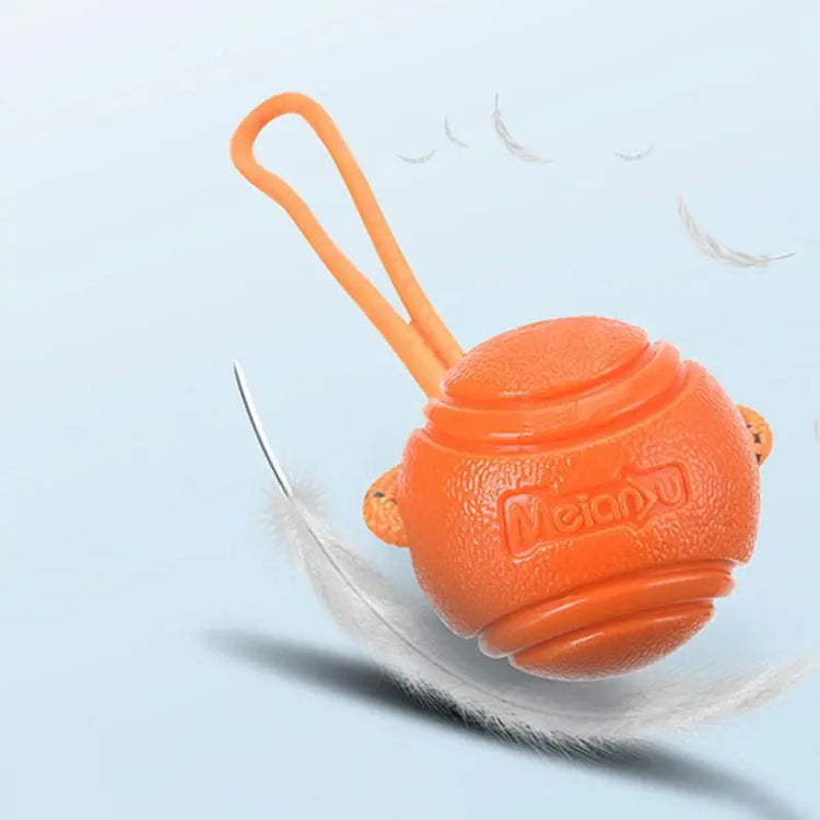 Dog Ball Toys – Bouncy Rubber Ball with Rope for Interactive Play