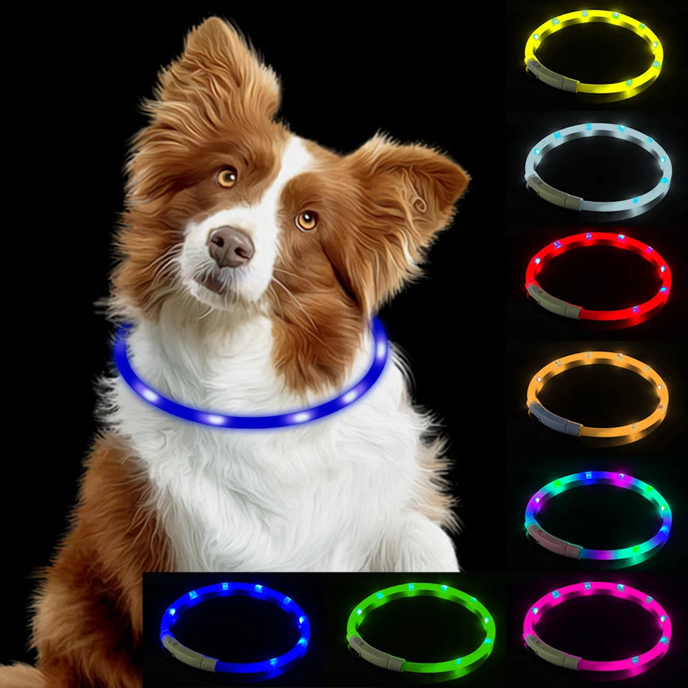 LED Night Safety Dog Collar – Rechargeable, Weatherproof, Adjustable