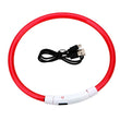 LED USB Rechargeable Dog Collar – Adjustable, Glowing Safety Collar for Pets