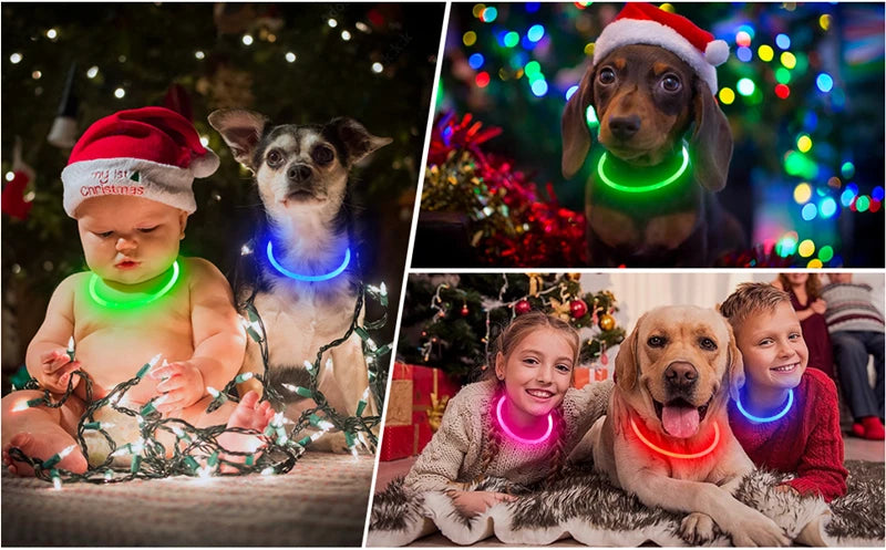 LED Luminous Dog Collar USB Charging Flashing Glowing Safety Anti-Lost Collar for Cats and Dogs          Ask ChatGPT