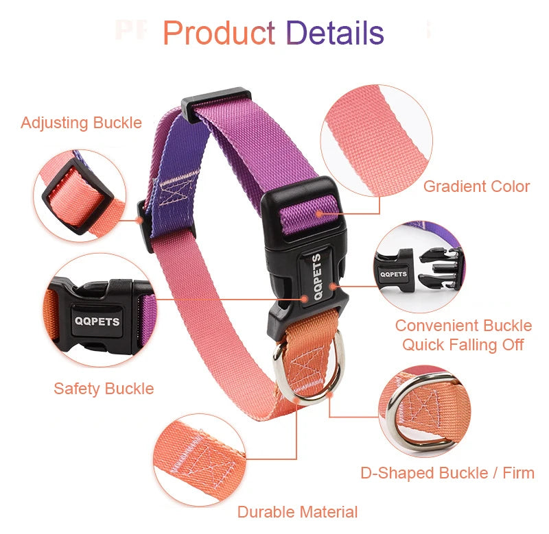 Adjustable Dog Collar & Leash Set – Personalized Nylon Traction Lead for Small to Large Dogs