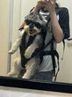 Chest Pet Bag Large Dog Backpack – Convenient and Comfortable Carrier for Medium Breeds