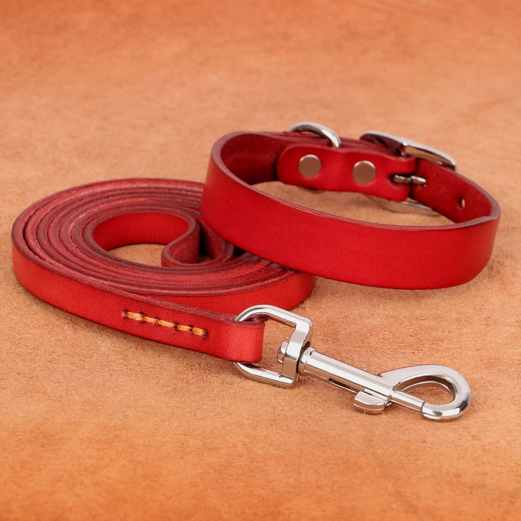 Genuine leather dog collar and leash set – durable and comfortable for small to medium dogs