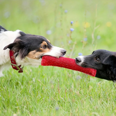 Dog Training Bite Stick – Double Handle Jute Tug Toy for Interactive Play & Training