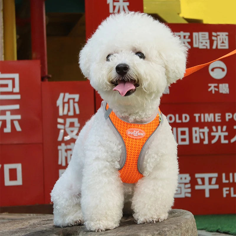 Pawstrip Soft & Reflective Dog Harness with Leash – Comfortable Vest Harness for Small Dogs