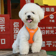 Pawstrip Soft & Reflective Dog Harness with Leash – Comfortable Vest Harness for Small Dogs