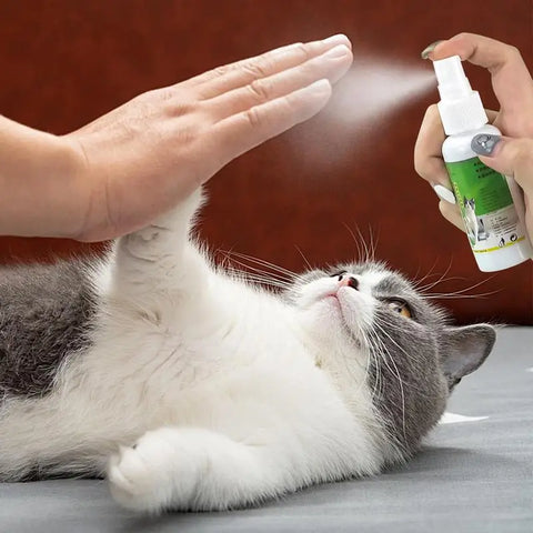 50ml Cat Catnip Spray Healthy Ingredients Catnip Spray For Kittens Cats & Attractant Easy To Use & Safe For Pets Pet Supplies