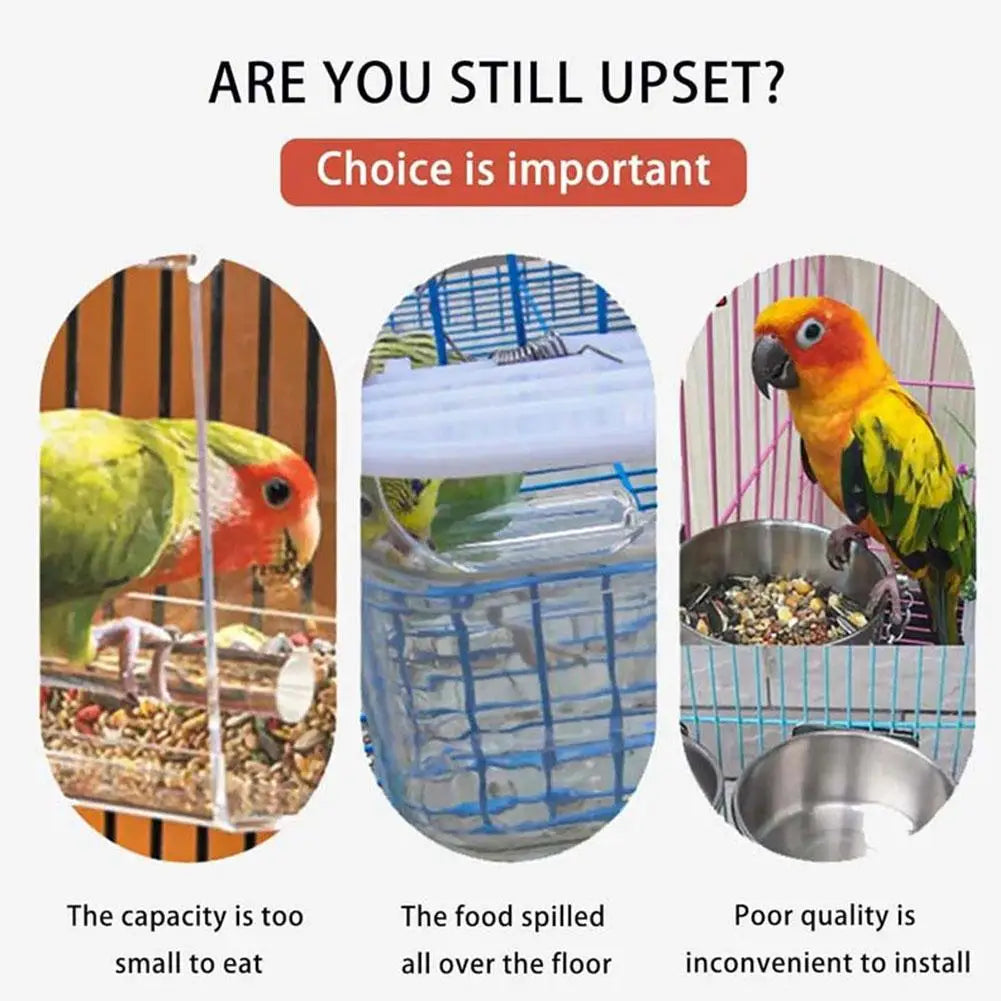 Automatic No-Spill Transparent Bird Feeder | Can Be Hung or Placed on Desktop | Ideal for Small & Medium Parakeets